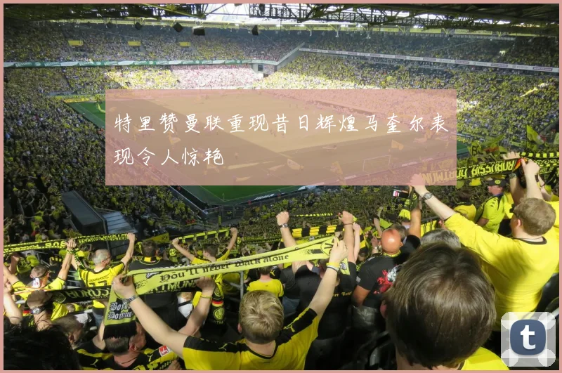 特里赞曼联重现昔日辉煌马奎尔表现令人惊艳