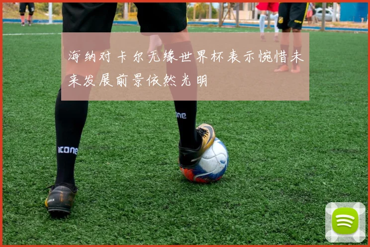 海纳对卡尔无缘世界杯表示惋惜未来发展前景依然光明