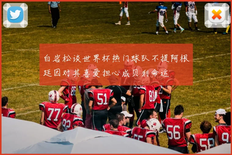 白岩松谈世界杯热门球队不提阿根廷因对其喜爱担心成贝利命运