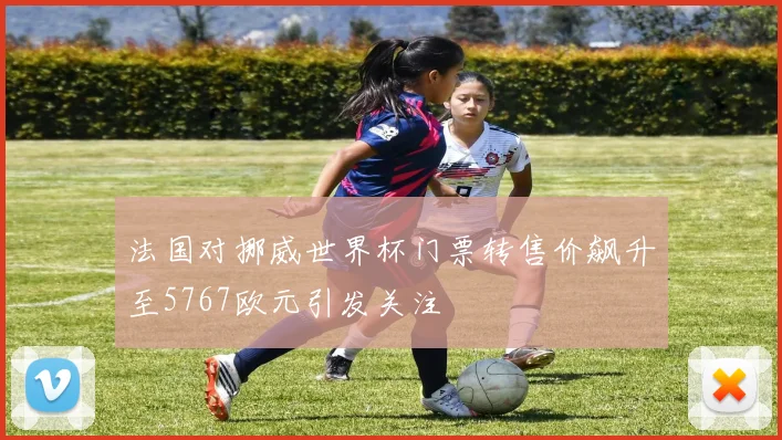 法国对挪威世界杯门票转售价飙升至5767欧元引发关注